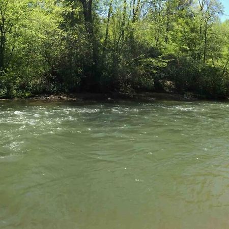 Cabin Fever On Cartecay River เอลลิเจย์ ภายนอก รูปภาพ
