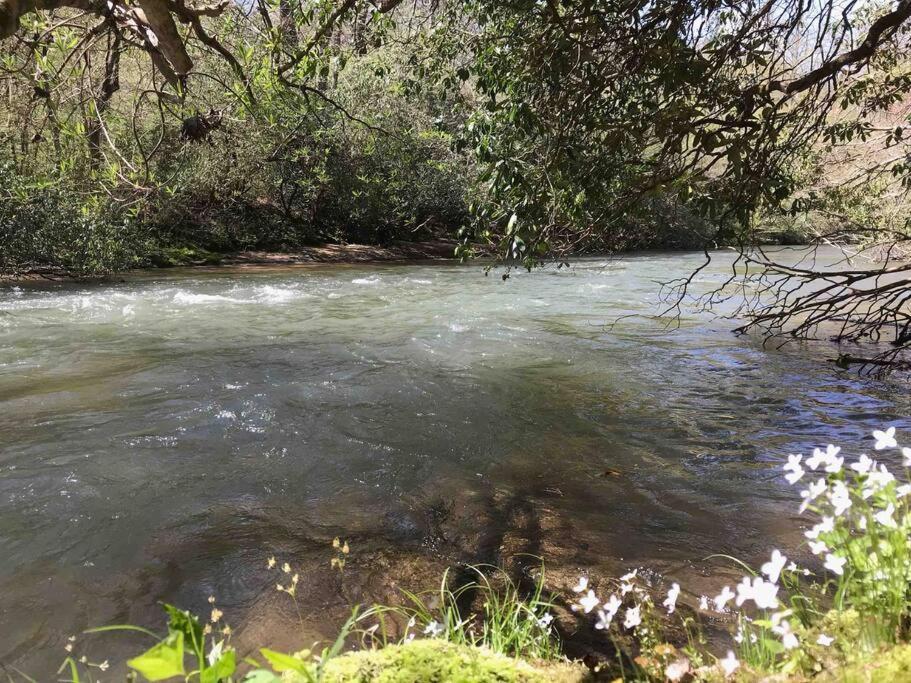 Cabin Fever On Cartecay River เอลลิเจย์ ภายนอก รูปภาพ